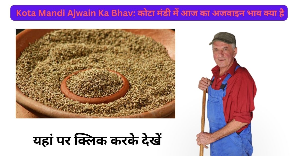 Kota Mandi Ajwain Ka Bhav