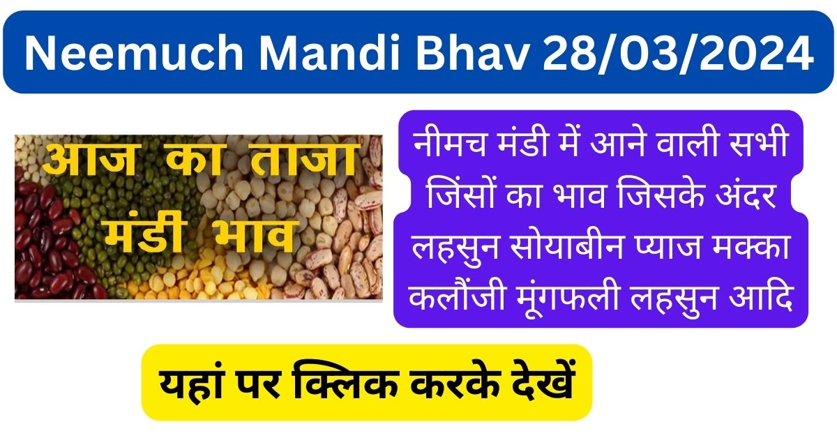 Neemuch Mandi Bhav 28/03/2024: नीमच मंडी में आने वाली सभी जिंसों का भाव