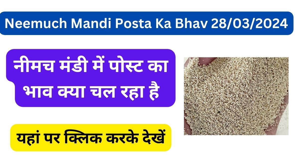 Neemuch Mandi Posta Ka Bhav 28/03/2024 : नीमच मंडी में पोस्ट का भाव क्या चल रहा है