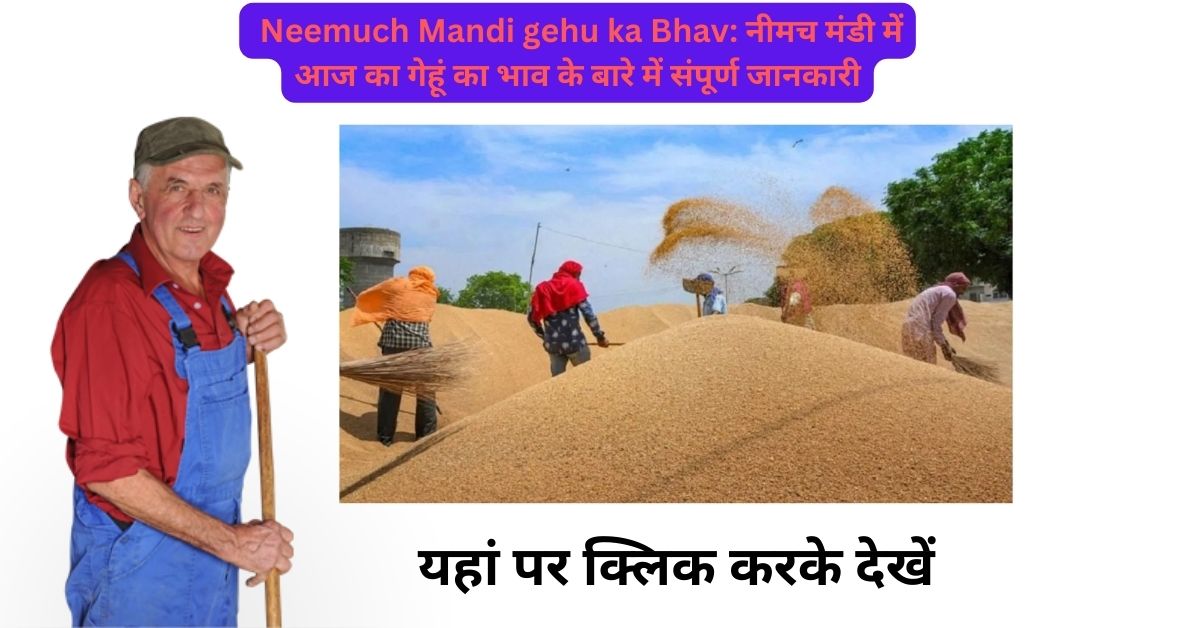 Neemuch Mandi gehu ka Bhav