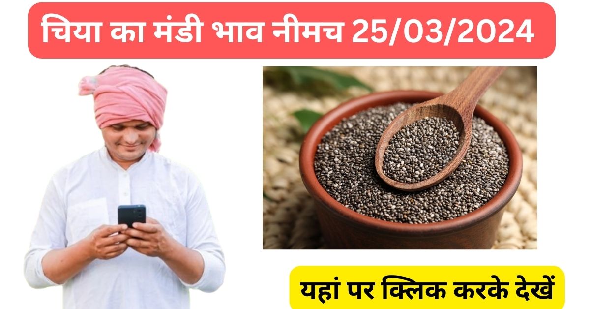 चिया का मंडी भाव नीमच 25/03/2024